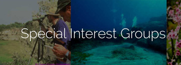 special_interest_groups_cyprus.jpg