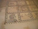 discovering_cyprus